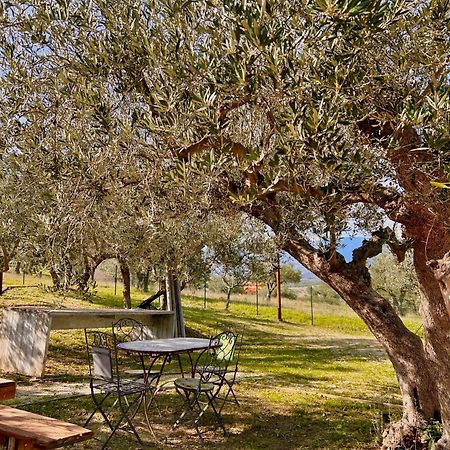 Oasi Macerina Villa Alanno Exterior photo