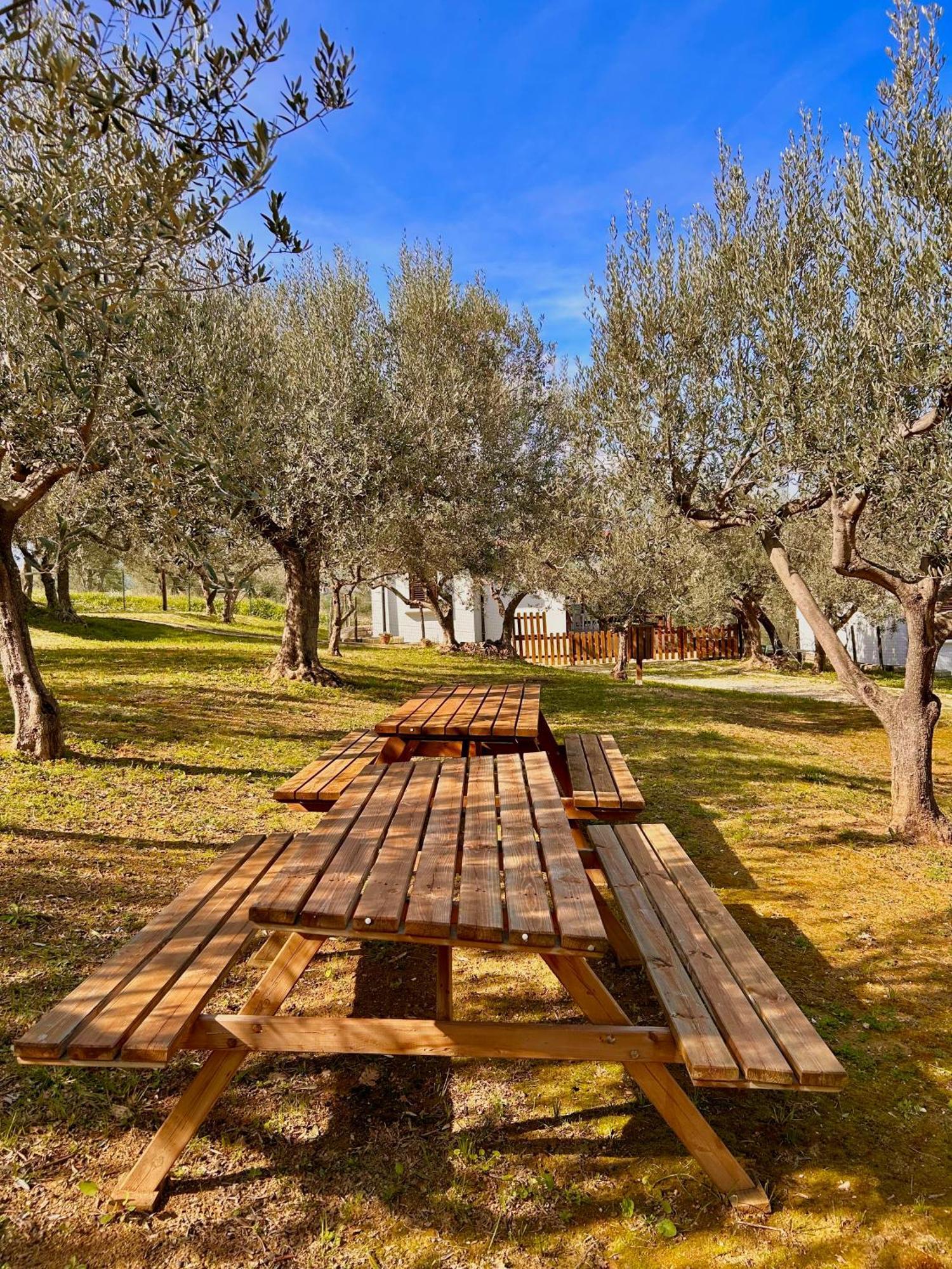Oasi Macerina Villa Alanno Exterior photo