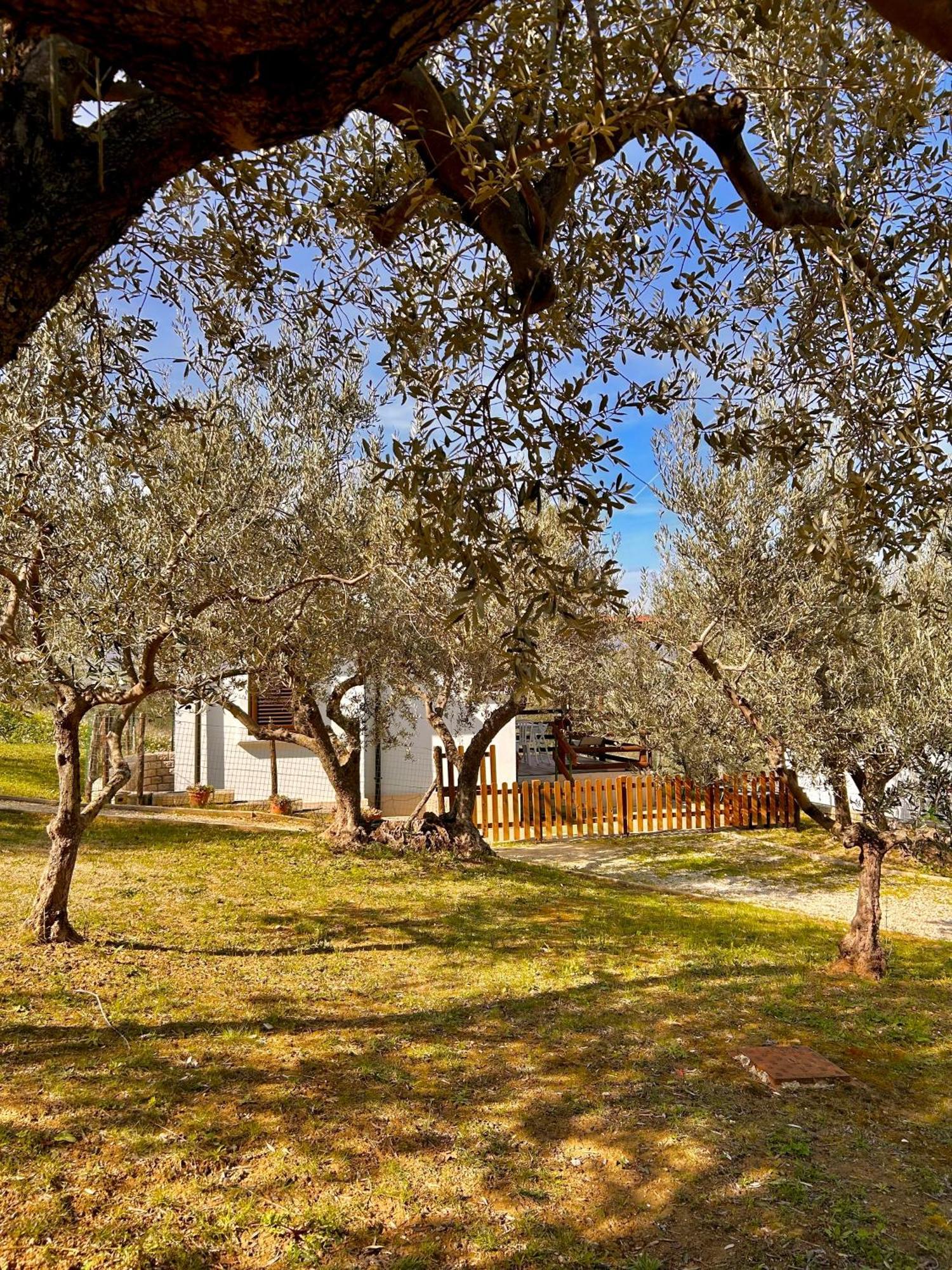 Oasi Macerina Villa Alanno Exterior photo