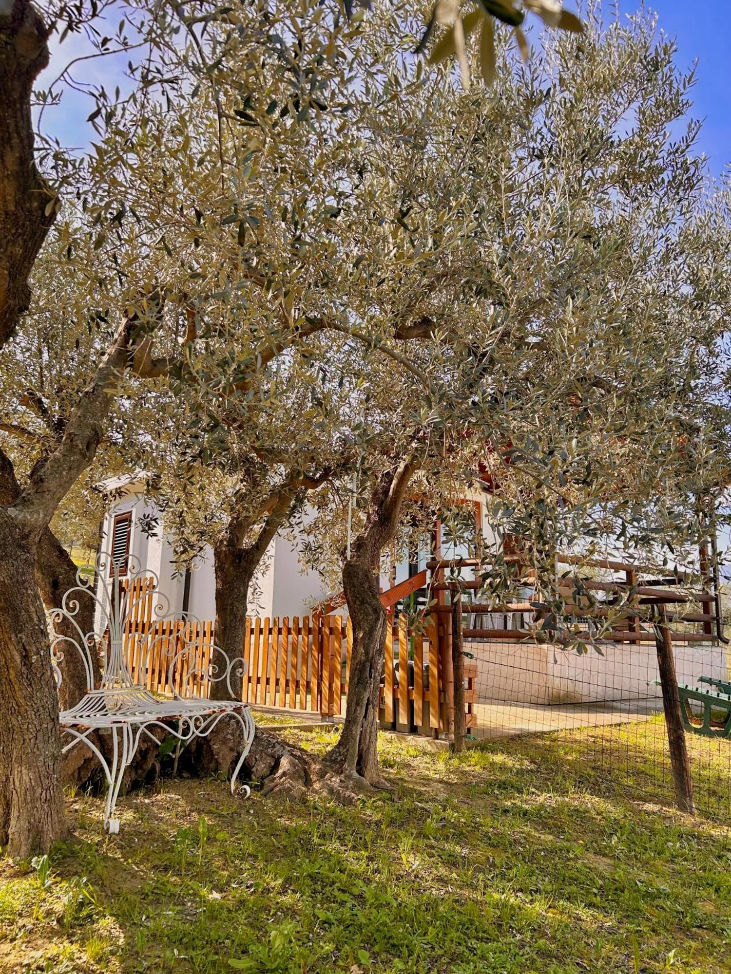 Oasi Macerina Villa Alanno Exterior photo