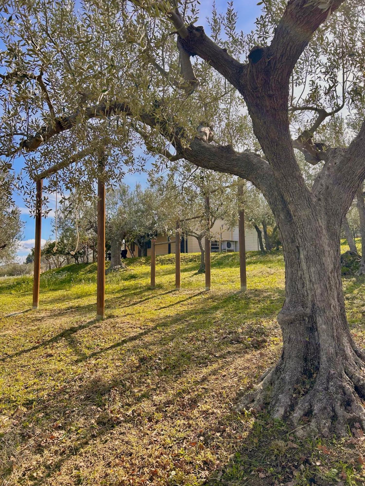 Oasi Macerina Villa Alanno Exterior photo