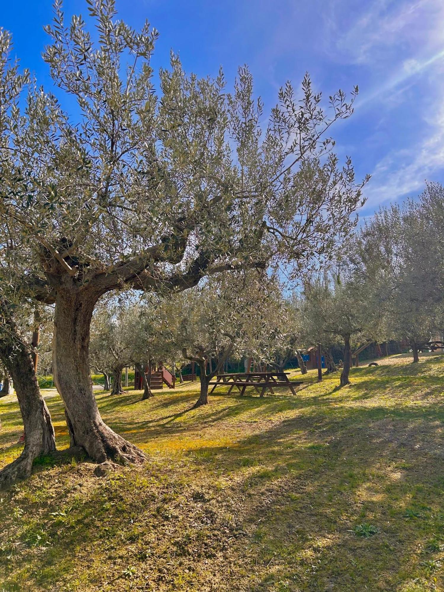 Oasi Macerina Villa Alanno Exterior photo
