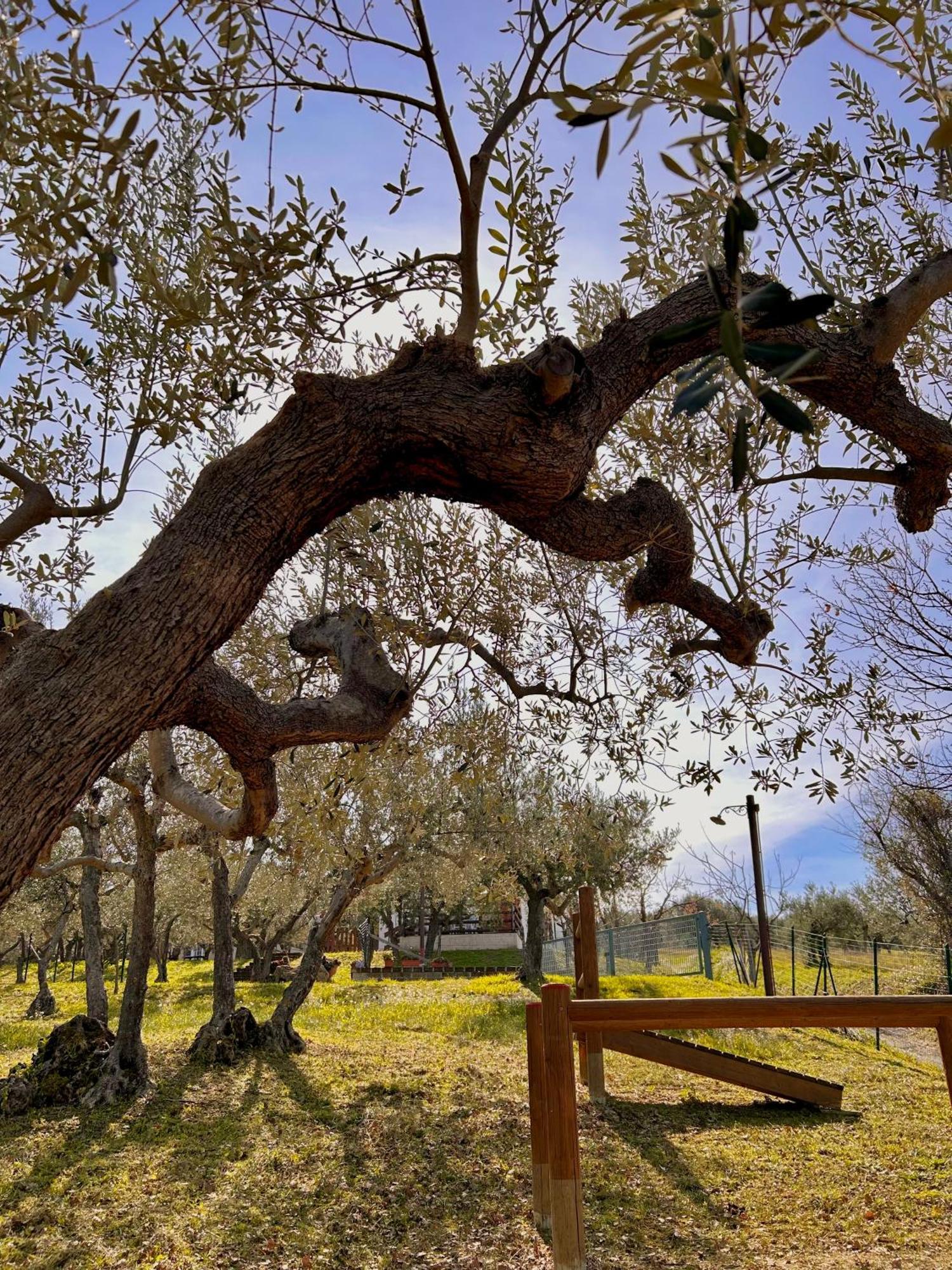 Oasi Macerina Villa Alanno Exterior photo