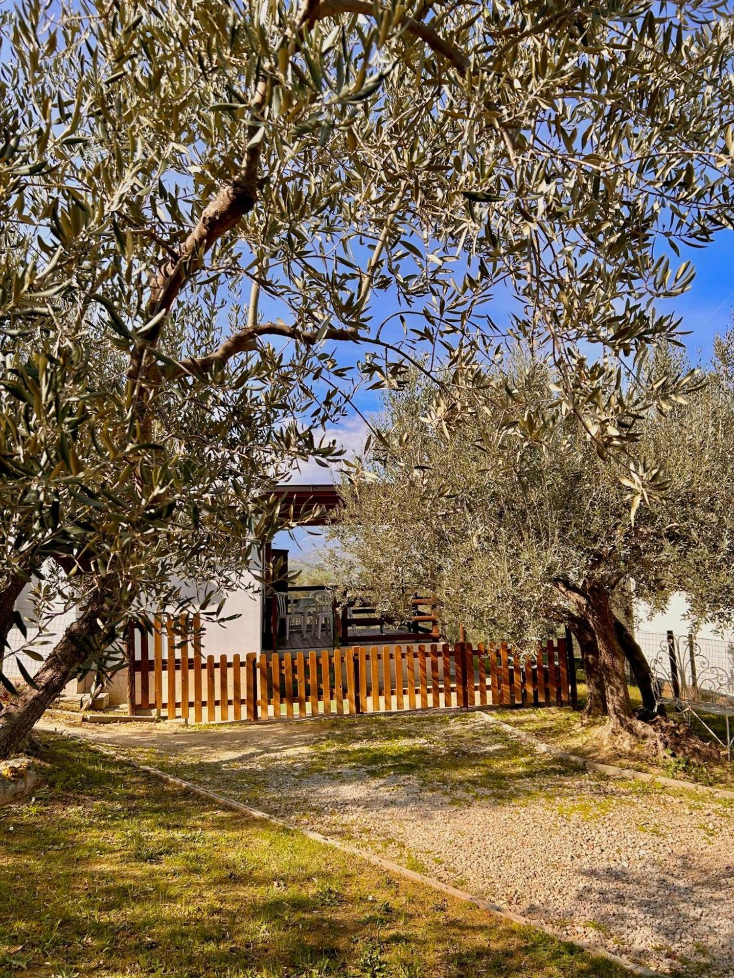 Oasi Macerina Villa Alanno Exterior photo